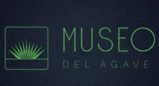 MUSEO DEL AGAVE logo