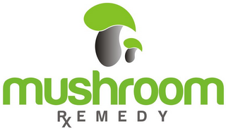 MUSHROOM REMEDY logo