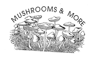 MUSHROOMS & MORE logo