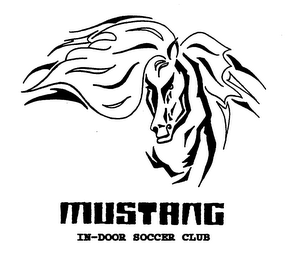 MUSTANG IN-DOOR SOCCER CLUB logo