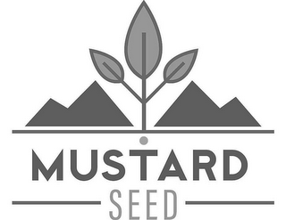 MUSTARD SEED logo