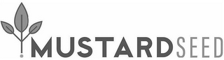 MUSTARD SEED logo