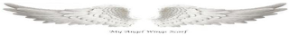 MY ANGEL WINGS SCARF logo