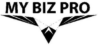 MY BIZ PRO logo