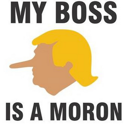 MY BOSS IS A MORON logo