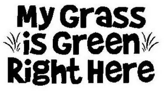 MY GRASS IS GREEN RIGHT HERE logo