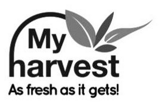 MY HARVEST AS FRESH AS IT GETS! logo