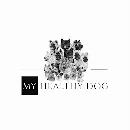 MY HEALTHY DOG logo