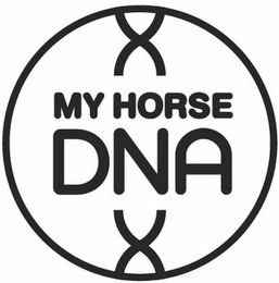 MY HORSE DNA