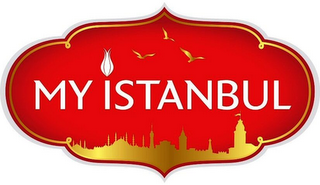 MY ISTANBUL logo