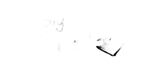 MY PETFOTO logo