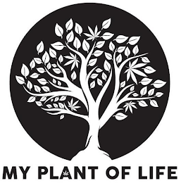 MY PLANT OF LIFE logo