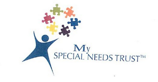 MY SPECIAL NEEDS TRUST logo