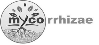 MYCORRHIZAE logo