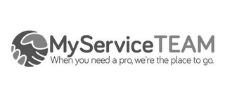 MYSERVICETEAM WHEN YOU NEED A PRO, WE'RE THE PLACE TO GO. logo