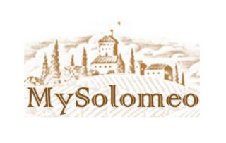 MYSOLOMEO logo