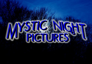 MYSTIC NIGHT PICTURES logo