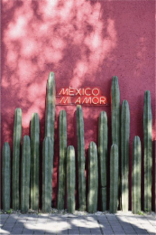 MÉXICO MI AMOR logo