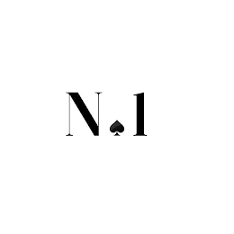 N 1 logo