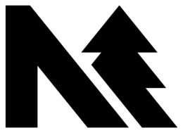 N logo