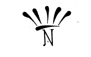 N logo