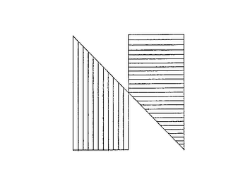 N logo