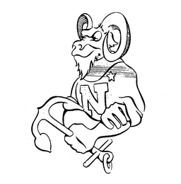 N logo