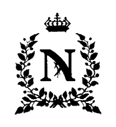N logo