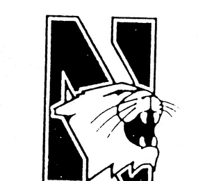 N logo
