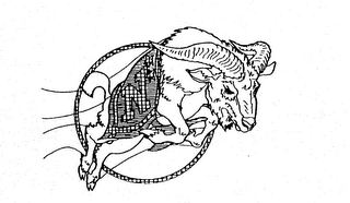 N logo