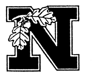 N logo