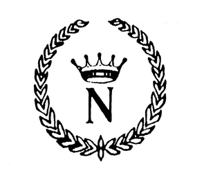 N logo