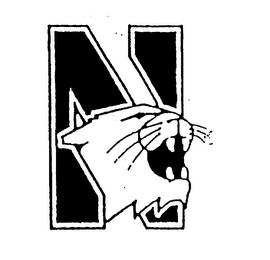 N logo