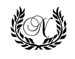 N logo