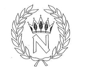 N logo