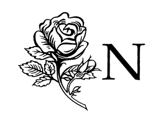 N logo
