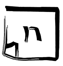 N logo