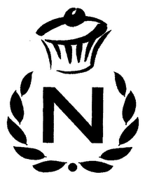 N logo