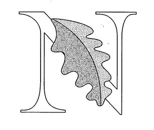 N logo