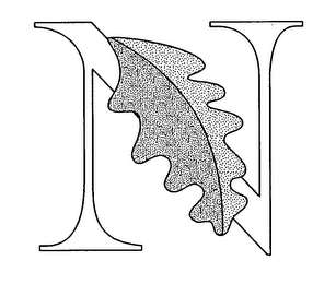 N logo