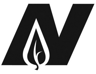 N logo