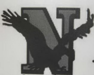 N logo