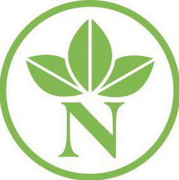 N logo