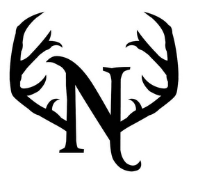 N logo