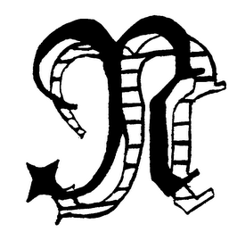 N logo