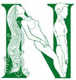 N logo