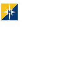 N logo