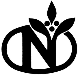 N logo