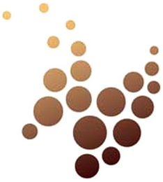 N logo
