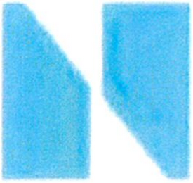 N logo